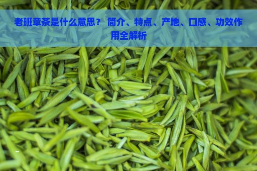 老班章茶是什么意思？ 简介、特点、产地、口感、功效作用全解析