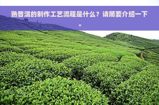 熟普洱的制作工艺流程是什么？请简要介绍一下。