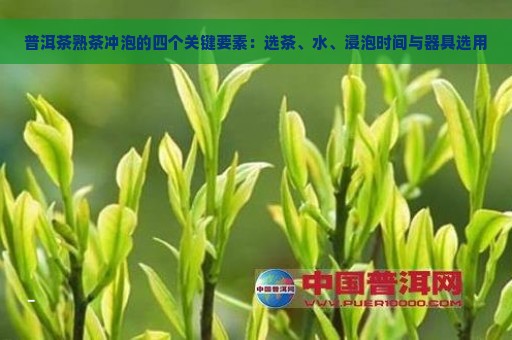 普洱茶熟茶冲泡的四个关键要素：选茶、水、浸泡时间与器具选用