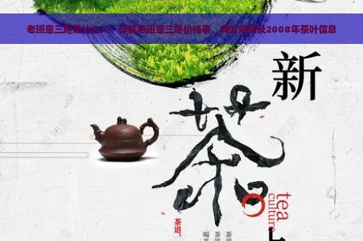 老班章三爬是什么人：详解老班章三爬价格表、真假辨别及2008年茶叶信息