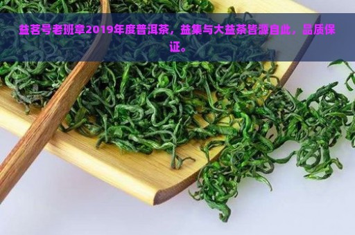 益茗号老班章2019年度普洱茶，益集与大益茶皆源自此，品质保证。