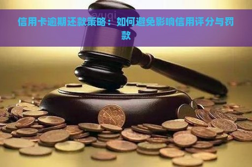 信用卡逾期还款策略：如何避免影响信用评分与罚款