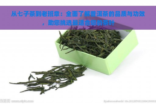 从七子茶到老班章：全面了解普洱茶的品质与功效，助您挑选最适合您的茶叶