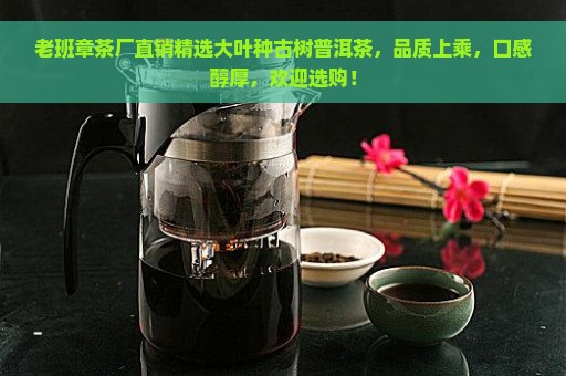 老班章茶厂直销精选大叶种古树普洱茶，品质上乘，口感醇厚，欢迎选购！