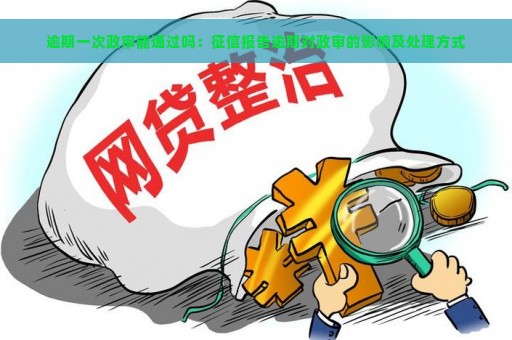 逾期一次政审能通过吗：征信报告逾期对政审的影响及处理方式