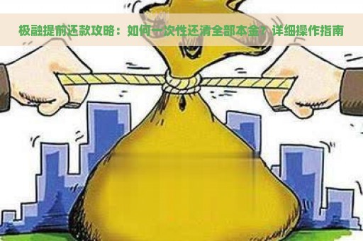 极融提前还款攻略：如何一次性还清全部本金？详细操作指南