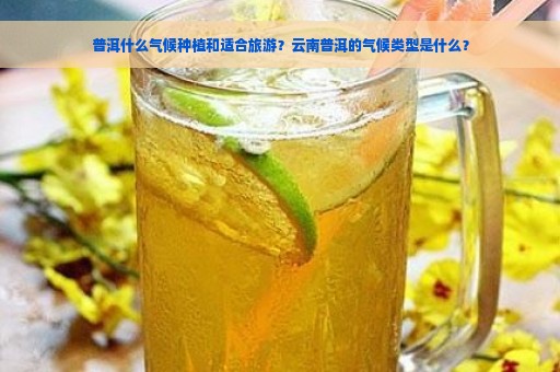 普洱什么气候种植和适合旅游？云南普洱的气候类型是什么？