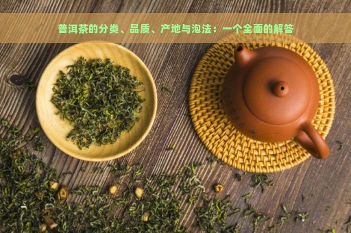 普洱茶的分类、品质、产地与泡法：一个全面的解答