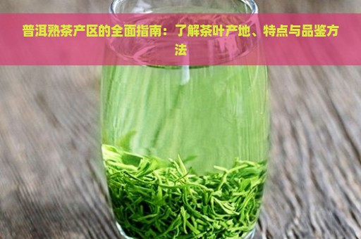 普洱熟茶产区的全面指南：了解茶叶产地、特点与品鉴方法