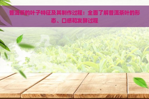 普洱茶的叶子特征及其制作过程：全面了解普洱茶叶的形态、口感和发酵过程