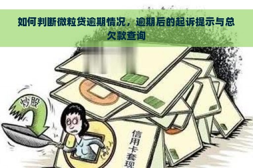 如何判断微粒贷逾期情况，逾期后的起诉提示与总欠款查询