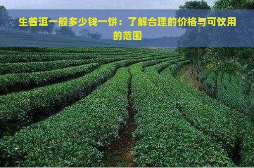 生普洱一般多少钱一饼：了解合理的价格与可饮用的范围