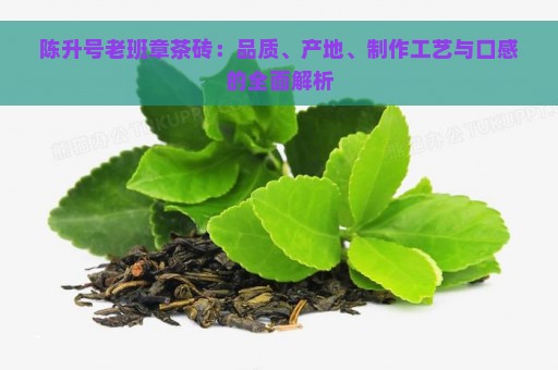 陈升号老班章茶砖：品质、产地、制作工艺与口感的全面解析