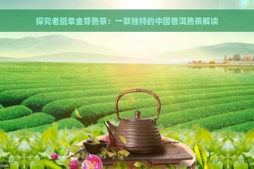 探究老班章金芽熟茶：一款独特的中国普洱熟茶解读