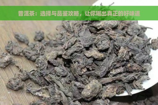 普洱茶：选择与品鉴攻略，让你喝出真正的好味道