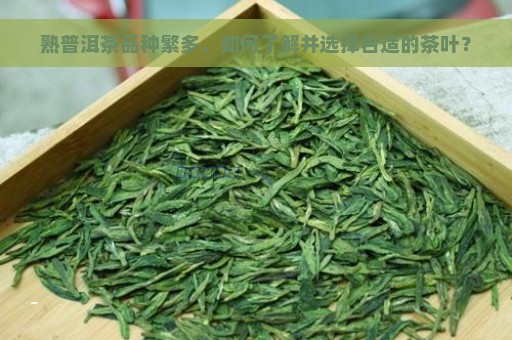 熟普洱茶品种繁多，如何了解并选择合适的茶叶？