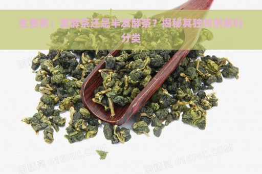 生普茶：发酵茶还是半发酵茶？揭秘其独特的茶叶分类