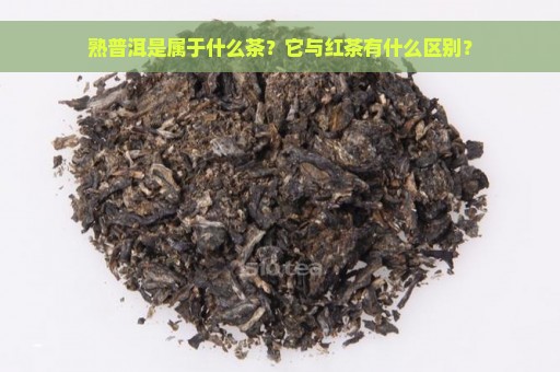 熟普洱是属于什么茶？它与红茶有什么区别？