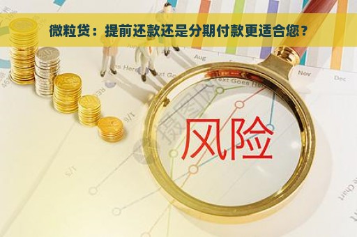 微粒贷：提前还款还是分期付款更适合您？