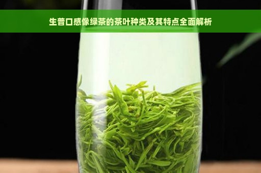 生普口感像绿茶的茶叶种类及其特点全面解析