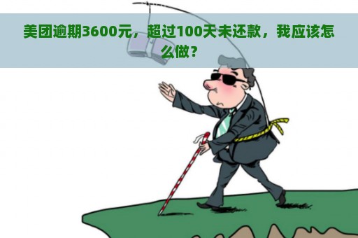 美团逾期3600元，超过100天未还款，我应该怎么做？