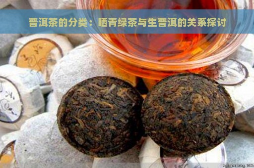 普洱茶的分类：晒青绿茶与生普洱的关系探讨