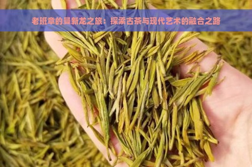 老班章的曼新龙之旅：探索古茶与现代艺术的融合之路