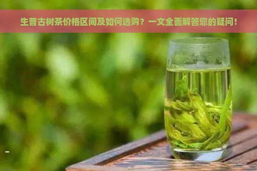 生普古树茶价格区间及如何选购？一文全面解答您的疑问！