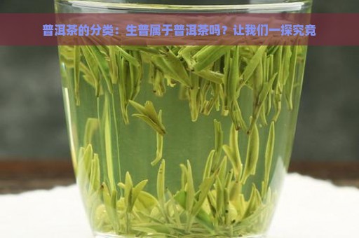 普洱茶的分类：生普属于普洱茶吗？让我们一探究竟