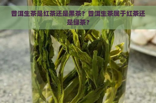 普洱生茶是红茶还是黑茶？普洱生茶属于红茶还是绿茶？