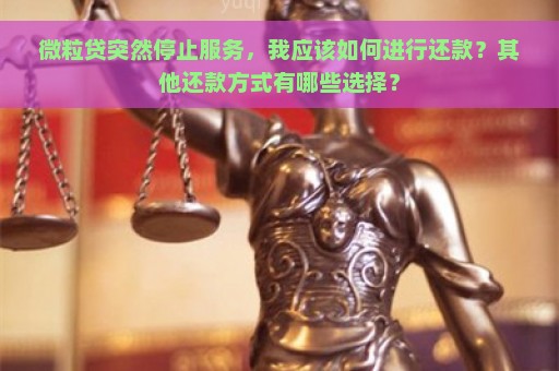 微粒贷突然停止服务，我应该如何进行还款？其他还款方式有哪些选择？