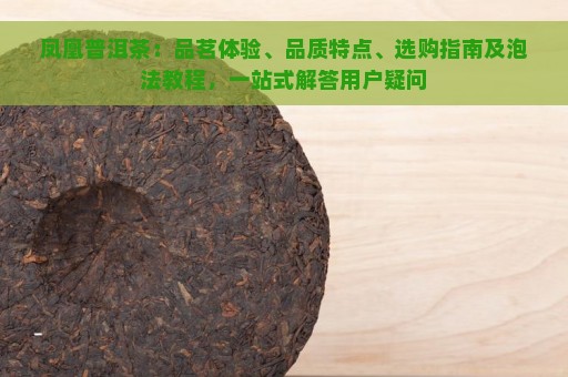 凤凰普洱茶：品茗体验、品质特点、选购指南及泡法教程，一站式解答用户疑问