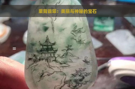 栗背翡翠：美丽与神秘的宝石