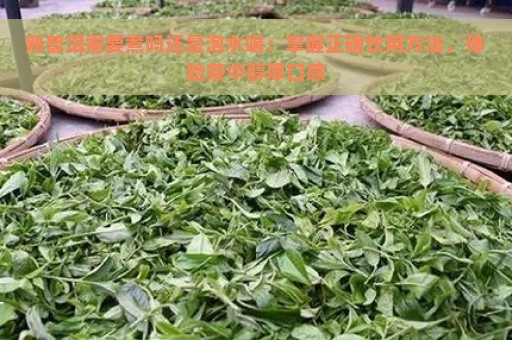 熟普洱需要煮吗还是泡水喝：掌握正确饮用方法，体验茶中醇厚口感