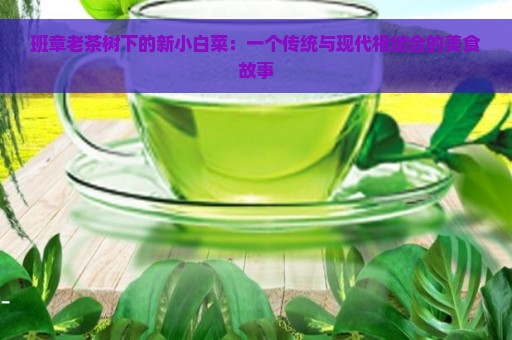 班章老茶树下的新小白菜：一个传统与现代相结合的美食故事