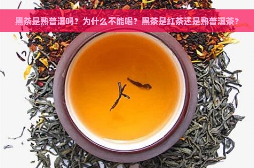 黑茶是熟普洱吗？为什么不能喝？黑茶是红茶还是熟普洱茶？