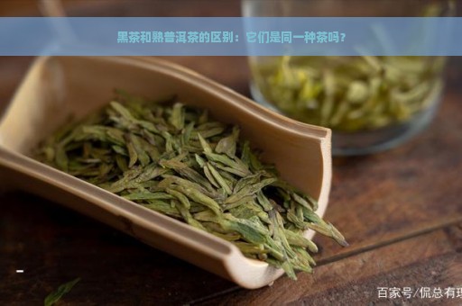 黑茶和熟普洱茶的区别：它们是同一种茶吗？