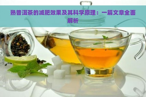 熟普洱茶的减肥效果及其科学原理：一篇文章全面解析