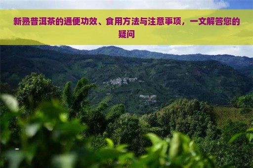 新熟普洱茶的通便功效、食用方法与注意事项，一文解答您的疑问