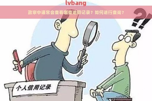 政审中通常会查看哪些逾期记录？如何进行查询？