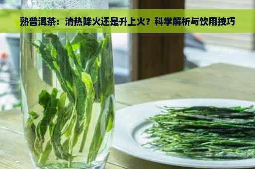 熟普洱茶：清热降火还是升上火？科学解析与饮用技巧