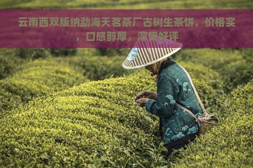 云南西双版纳勐海天茗茶厂古树生茶饼，价格实，口感醇厚，深受好评