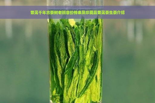 普洱千年古茶树老班章价格表及珍藏品普洱茶生茶介绍