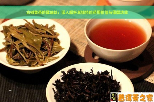 古树普茶的健益处：深入解析其独特的药用价值与保健功效