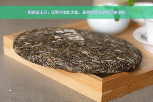 班章茶山行：探索茶文化之旅，品尝珍贵念茶的完美体验