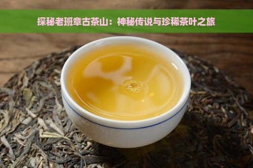 探秘老班章古茶山：神秘传说与珍稀茶叶之旅