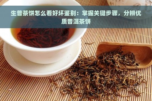 生普茶饼怎么看好坏鉴别：掌握关键步骤，分辨优质普洱茶饼