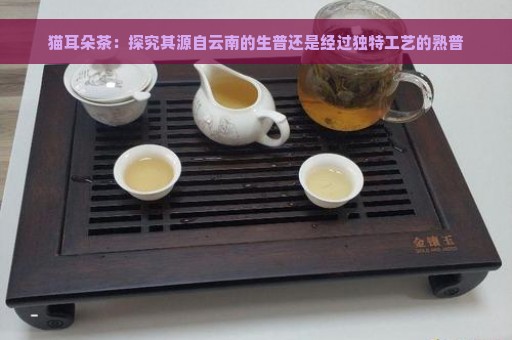 猫耳朵茶：探究其源自云南的生普还是经过独特工艺的熟普