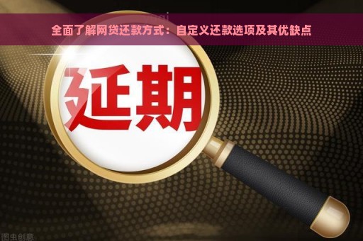 全面了解网贷还款方式：自定义还款选项及其优缺点