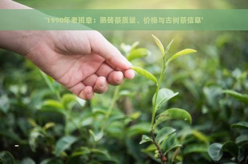 '1990年老班章：熟砖茶质量、价格与古树茶信息'